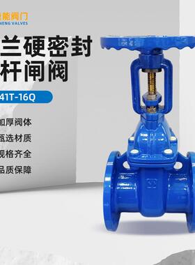 法兰硬密封明杆闸阀Z41T-16Q球墨铸铁硬密封闸阀防护阀门直供