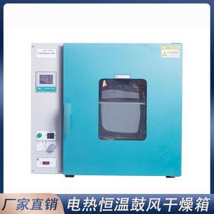 电热鼓风恒温干燥箱实验室用不锈钢鼓风干燥机厂家 dhg9240a台式