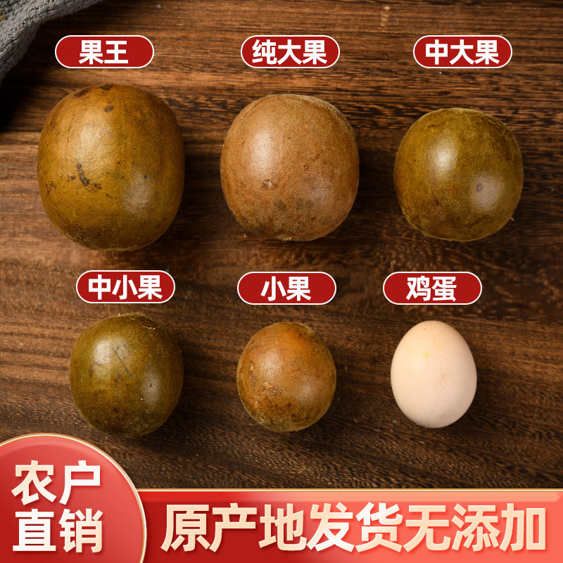 速发罗汉果独立罗汉果 广西桂林包装特产大果新鲜的野生脱水罗汉