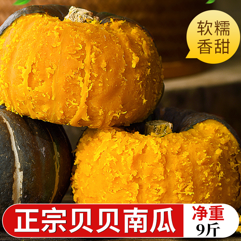 速发贝贝南瓜正宗板栗小南瓜新鲜蔬菜粉糯香甜宝宝辅食低脂老南瓜