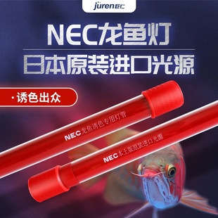NEC灯管飞利浦龙鱼潜水灯T8发色三基色865水族鱼缸灯金龙增色965