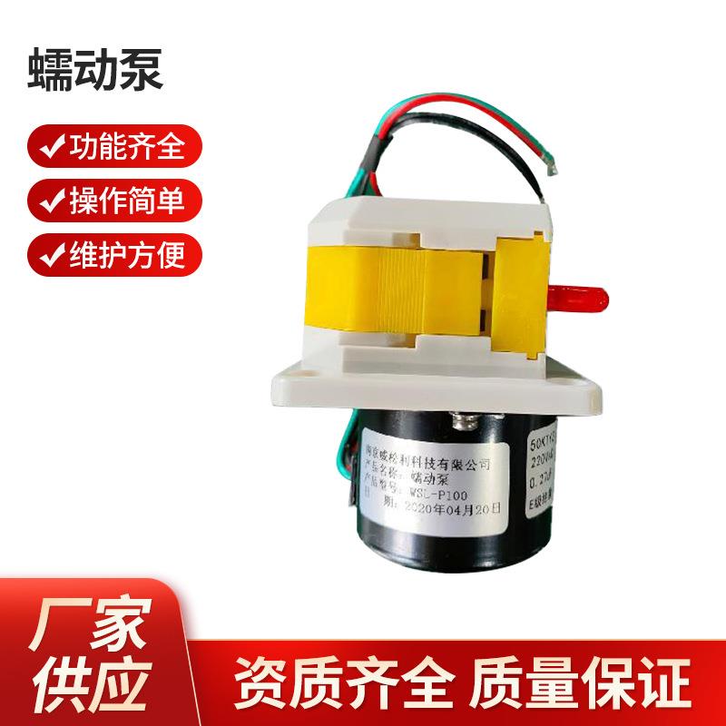 厂家供应蠕动泵南京软管蠕动泵P100厂家采购量大价优