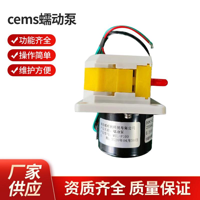cems蠕动泵-南京威松利蠕动泵WSL-P100厂家供应蠕动泵量大价优