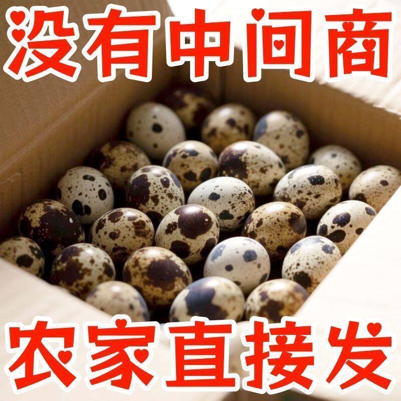 正品鹌鹑蛋新鲜生蛋绿色杂粮生鲜蛋孕妇宝宝辅食鹑鸟蛋鲜