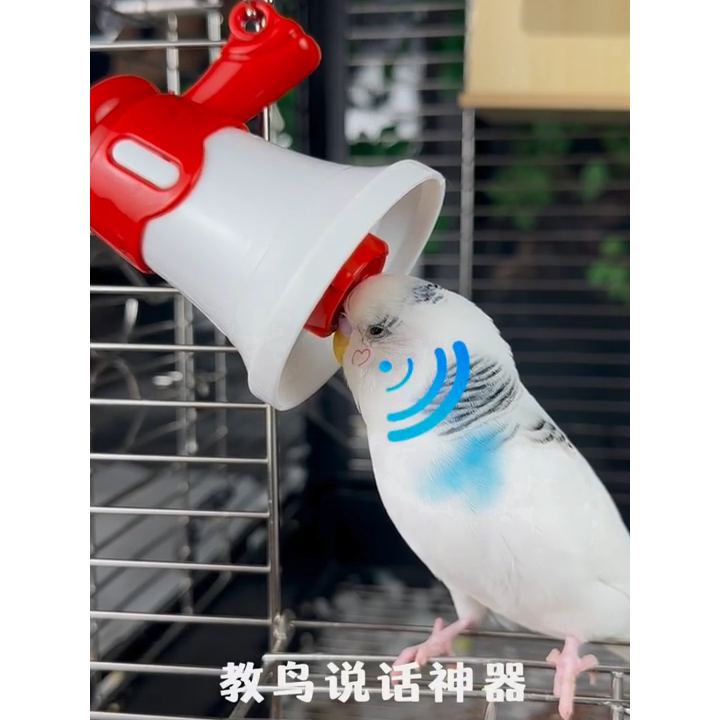 八哥鹦鹉学习说话神器训练复读录音机循环播放扩音器鸟玩具用品