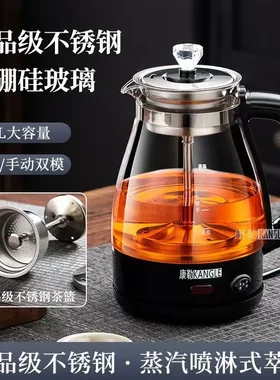 德国进口安化黑茶多功能煮茶器
