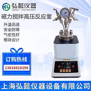 实验室微型磁力搅拌高压反应釜不锈钢高压搅拌高压釜简易高压釜