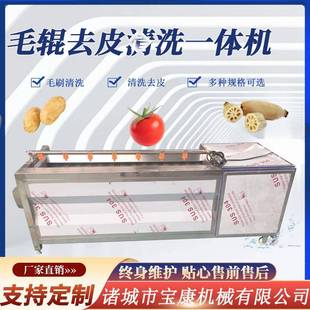 红薯土豆清洗机海蛎子清洗机牡蛎清洗机新型土豆去皮清洗机