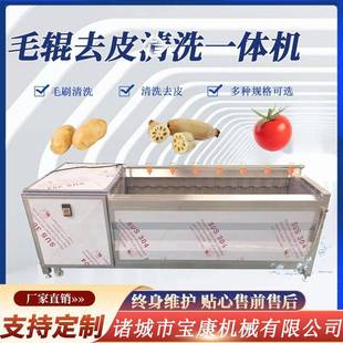 猪蹄毛辊清洗机油炸小酥肉莲藕清洗设备山药萝卜去皮毛刷清洗机