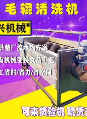 红薯去皮机 洋葱去皮清洗机毛辊清洗机芋头魔芋去皮机全不锈钢