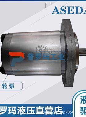 韩国ASEDA齿轮油泵SAP10-1SAP-2SAP-3.15SAP-4SAP-5SAP-6.3