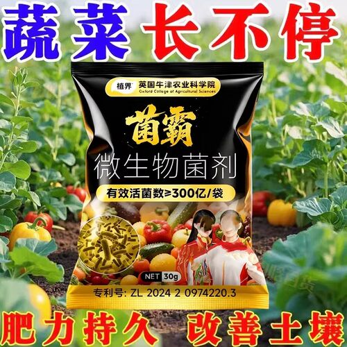 植界菌霸微生物菌剂蔬菜长不停