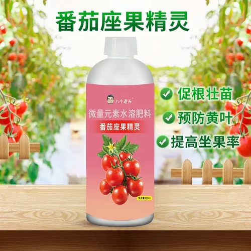 八个老头番茄座果精灵微量元素水