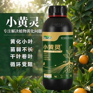 国中农科研究院田园丰情小黄灵