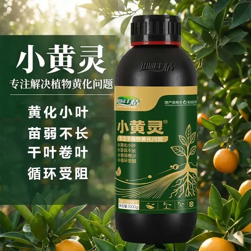 国中农科研究院田园丰情小黄灵