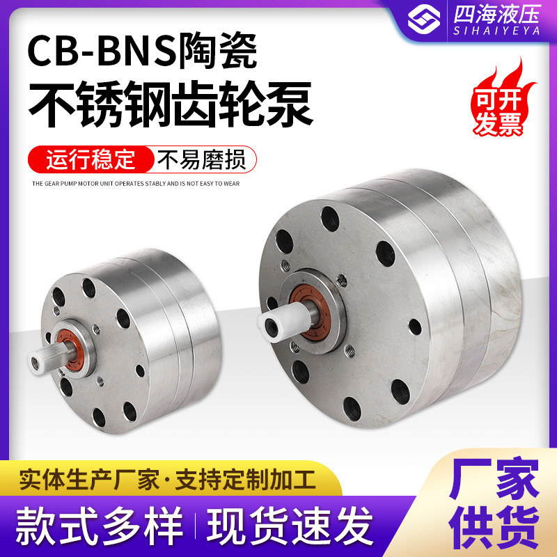 不锈钢齿轮泵CB-BNS25 NS10 63化工饲料食品用耐酸碱CBA-B16 B200