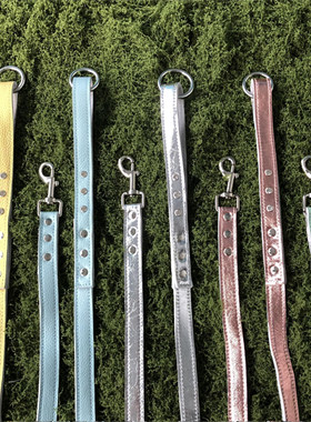 真皮项圈牵引宠物外出牵引绳柔软舒适宠物真皮项圈牵引