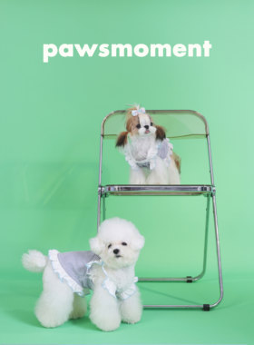 春夏宠物服装猫咪狗狗网红小飞袖衬衫条纹连衣裙红白格连衣裙