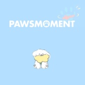 邮费差价补拍链接 宠物店合作 线下合作