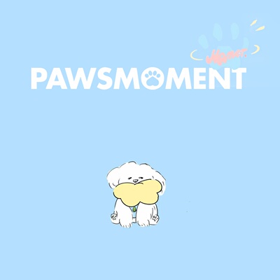 补拍链接合作链接补金额