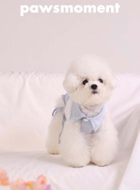 宠物春夏服装薄荷蓝ins风网红小吊带背心小型犬春夏吊带背心系带