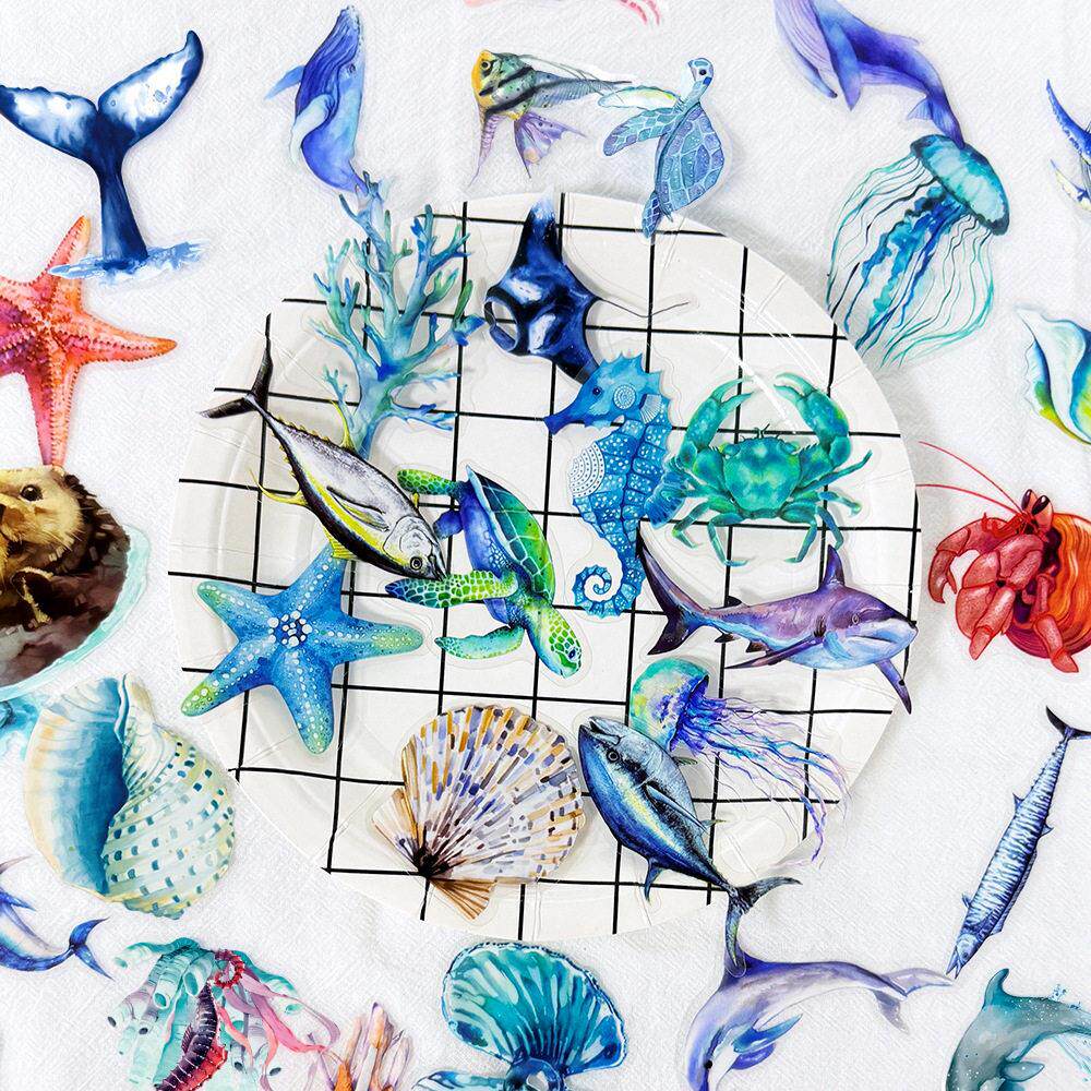 100张写实风海洋生物PET贴纸ins风创意贝壳鲨鱼素材贴画diy手帐本