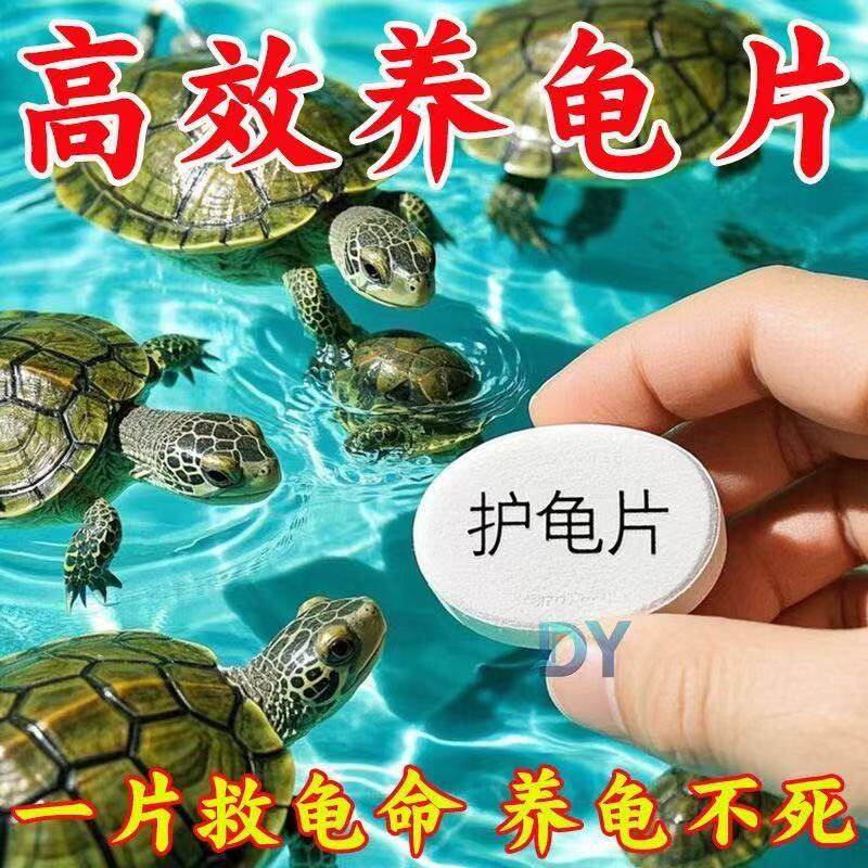 护龟片乌龟消毒片专治腐皮烂甲白眼病厌食净化水质清菌乌龟通用型