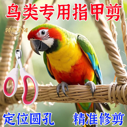 鸟类宠物专用指甲剪不伤鸟禽服饰