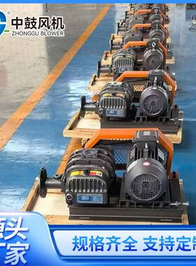 广东罗茨风机中鼓ZZR200-37W45W三叶罗茨鼓风机厂家直供2025