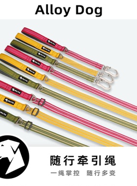 AlloyDog防挣脱狗链大中型犬宠物外出专用品扁绳狗狗单独牵引绳子