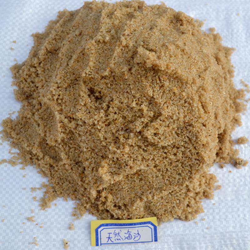 水洗淡化天然海沙山东造景人工沙滩室外沙池使用海沙供应商