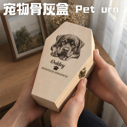 万圣节哥特木制宠物棺材盒定制