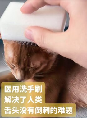 还原猫妈妈舌头猫咪去浮毛梳