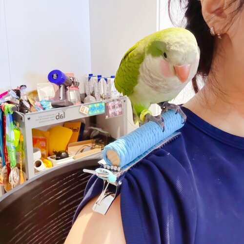 鹦鹉实木站肩棒DIY材料包防抓
