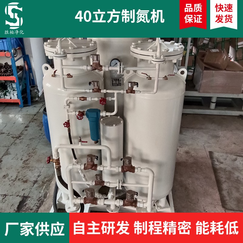 工业40立方制氮机石油化工高纯氮气发生器电子医疗激光焊制氮设备 - 实物图