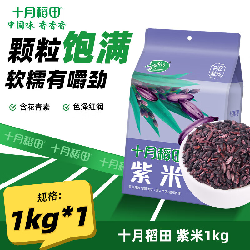 十月稻田紫米五谷粗粮杂粮紫米粥