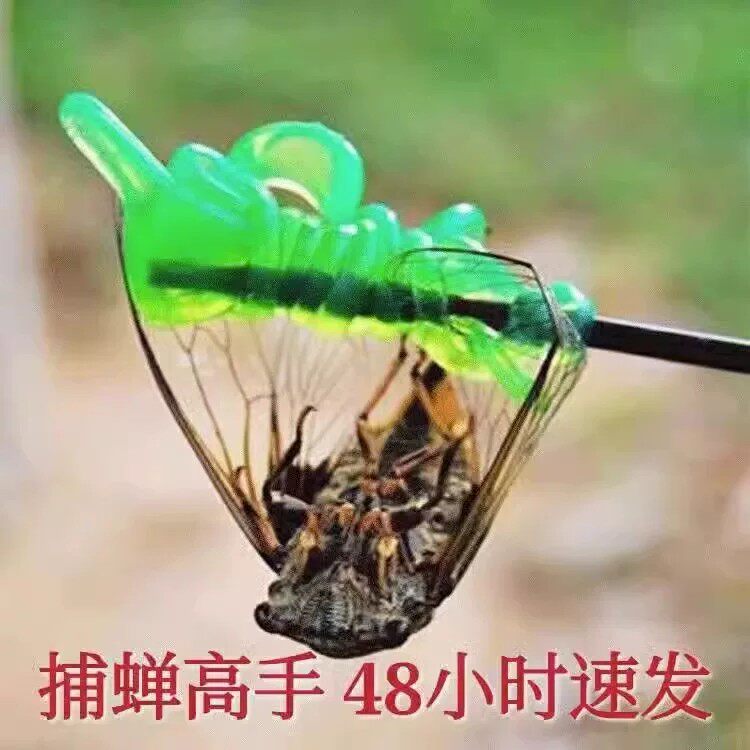 高粘小绿手粘蝉杆知了神器