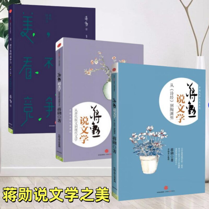 【正版图书9成新溢价高】蒋勋说文学从诗经到陶渊明蒋勋著李炳青整理中信出版9787508643281