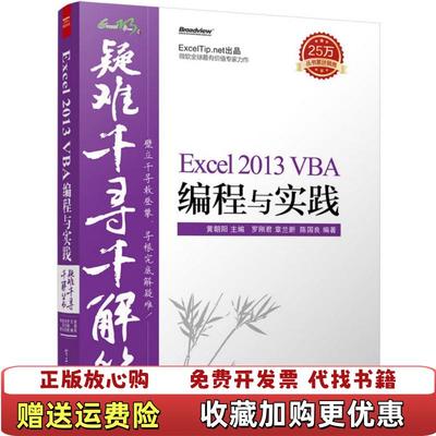 【正版图书】疑难千寻千解丛书 Excel 2013 VBA编程与实践罗刚君章兰新陈国良  著黄朝阳  编电子工业出版社9787121263965