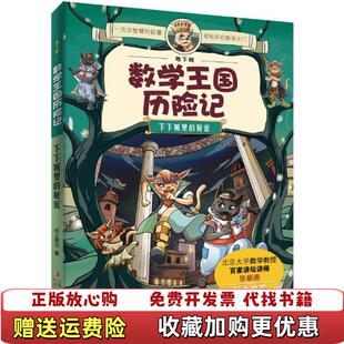 【正版图书】地下城数学王国历险记 下下城里的秘密纸上魔方  著吉林出版集团有限责任公司9787553440125