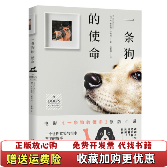 【正版图书9成新】一条狗的使命现代/当代文学