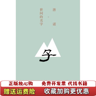 【正版图书】世间的名字唐诺著上海人民出版社9787208104815