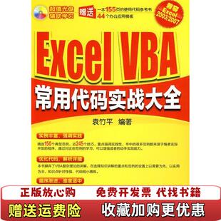 Excel 图书 VBA常用代码 实战大全袁竹平 社9787122086471 著化学工业出版 正版