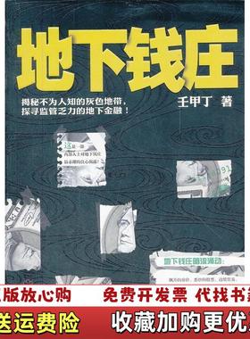 【正版图书】地下钱庄壬甲丁  著武汉出版社9787543063761