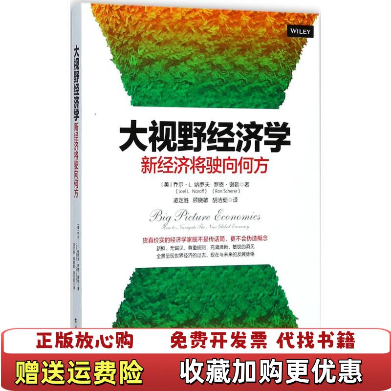 【正版图书】大视野经济学新经济将驶向何方凌定胜 顾晓敏 胡洁茹 译电子工业出版社9787121326684