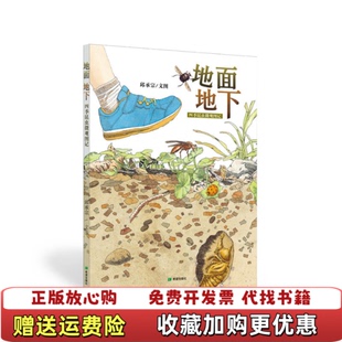 著希望出版 耕林童书馆地面地下邱承宗 图书 社9787537974868 正版