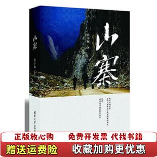 【正版图书】山寨做生活的侠客每个人都有自己热血沸腾的年代纪念共同度过的2008年张小砚著清华大学出版社978730236