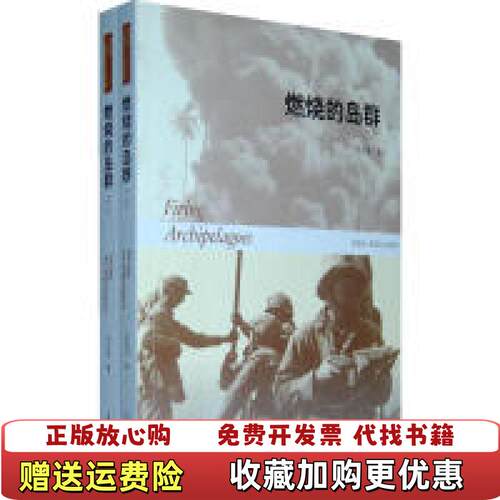 【正版图书】燃烧的岛群宋宜昌二战军史小说系列宋宜昌山东人民出
