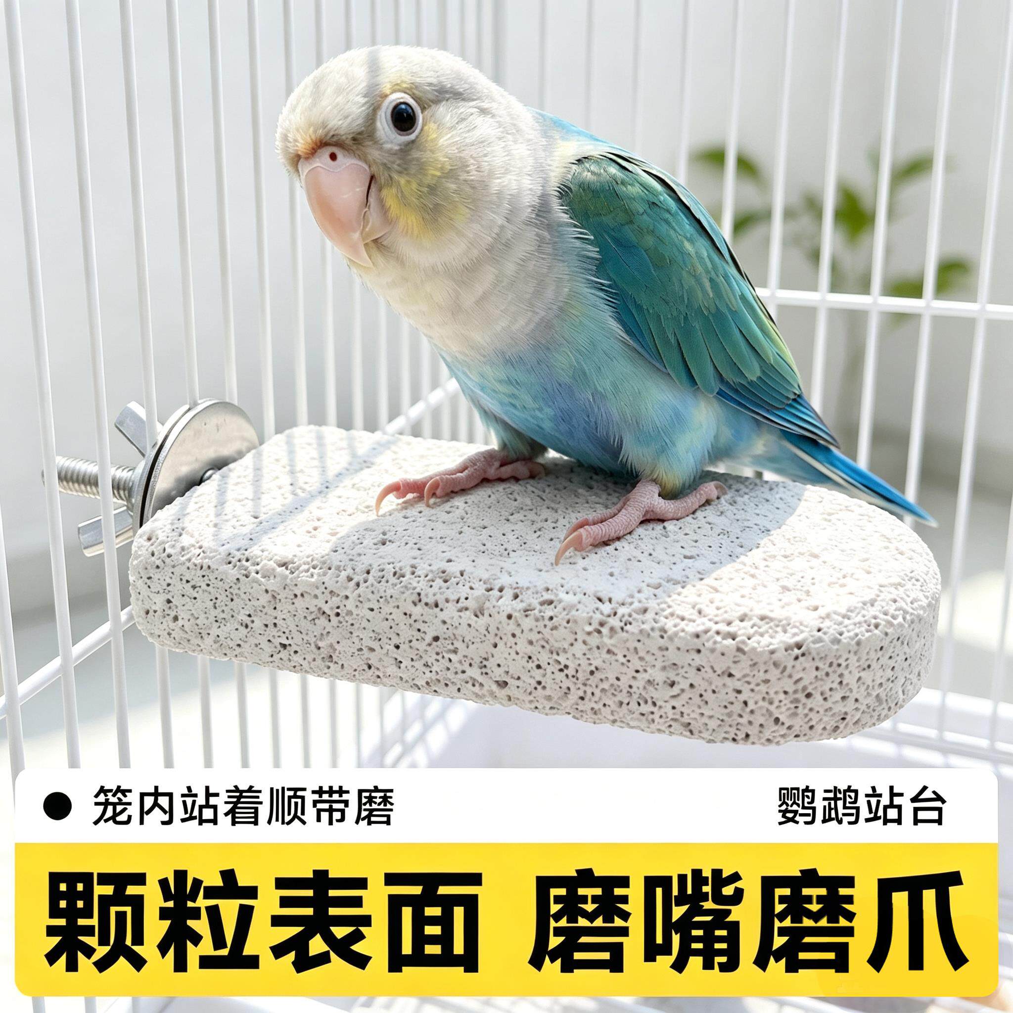 鹦鹉火山石磨砂站台玄凤