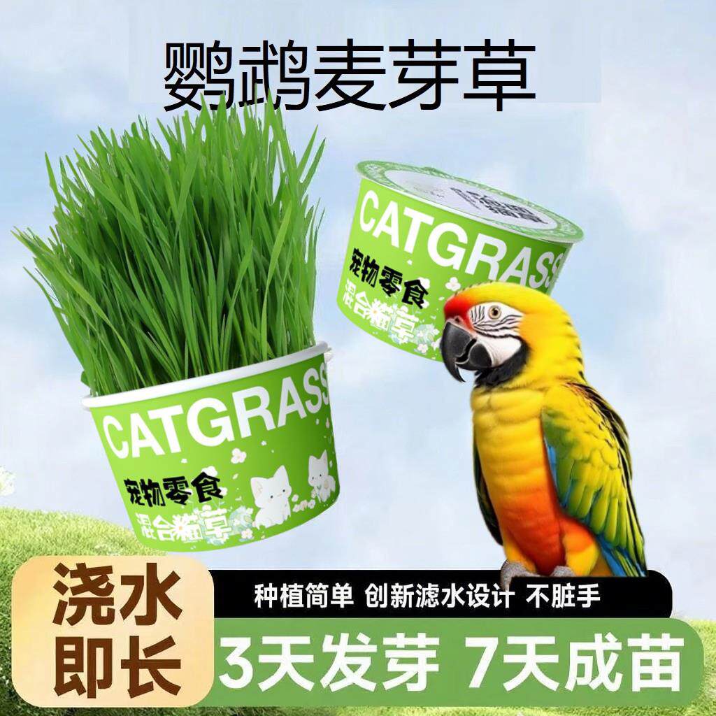 鹦鹉麦芽草粮大麦种子鹦鹉啃咬饲料鸟草盒零食促进消化解闷防啄毛